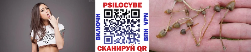 Псилоцибиновые грибы мухоморы  Верхоянск 
